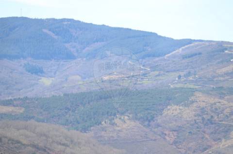 Moradia T4 para venda