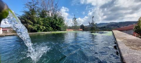 Moradia T4 para venda