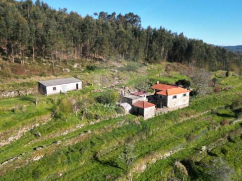 Quinta T3 para venda