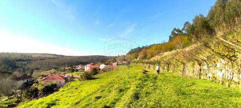 Quinta T3 para venda