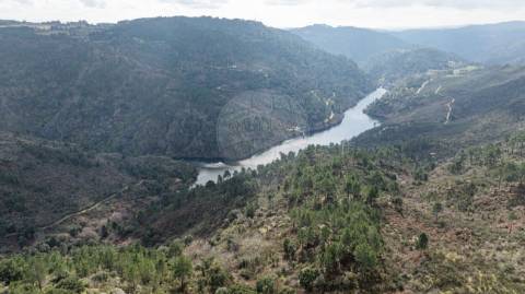 Moradia T4 para venda