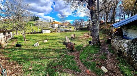 Moradia T2 para venda