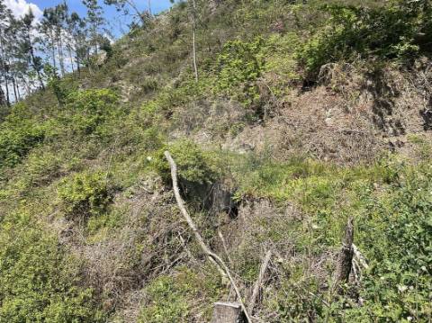 Moradia T2 para venda