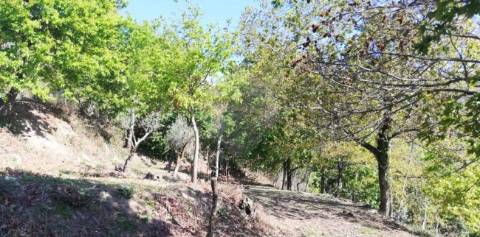 Moradia T3 para venda