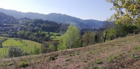 Moradia T3 para venda