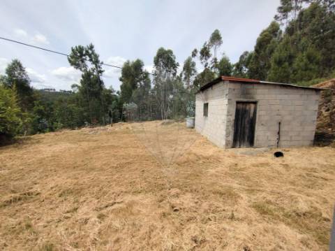 Moradia T3 para venda