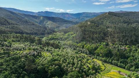 Moradia T3 para venda