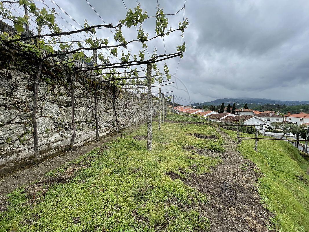 Terreno  para venda