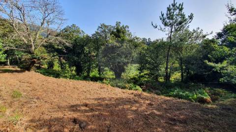 Quinta T6 para venda