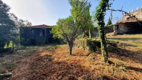 Quinta T6 para venda