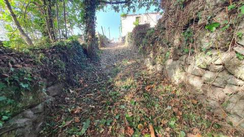 Quinta T6 para venda