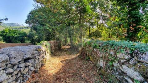 Quinta T6 para venda