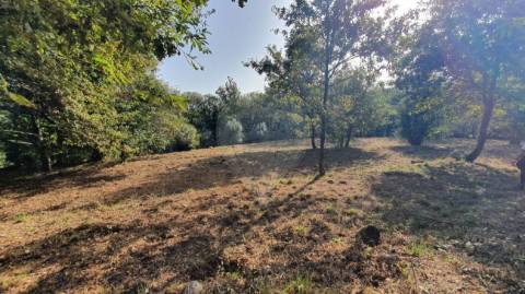 Quinta T6 para venda