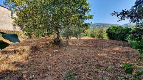 Quinta T6 para venda