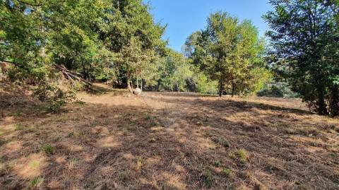 Quinta T6 para venda