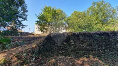 Quinta T6 para venda