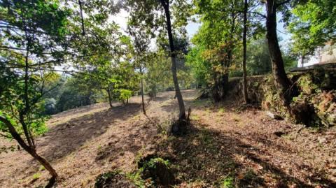 Quinta T6 para venda