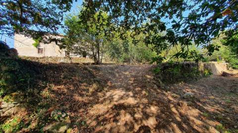 Quinta T6 para venda