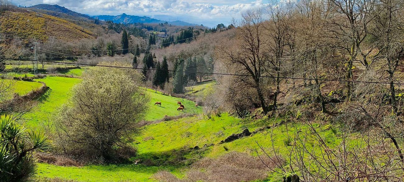 Terreno  para venda