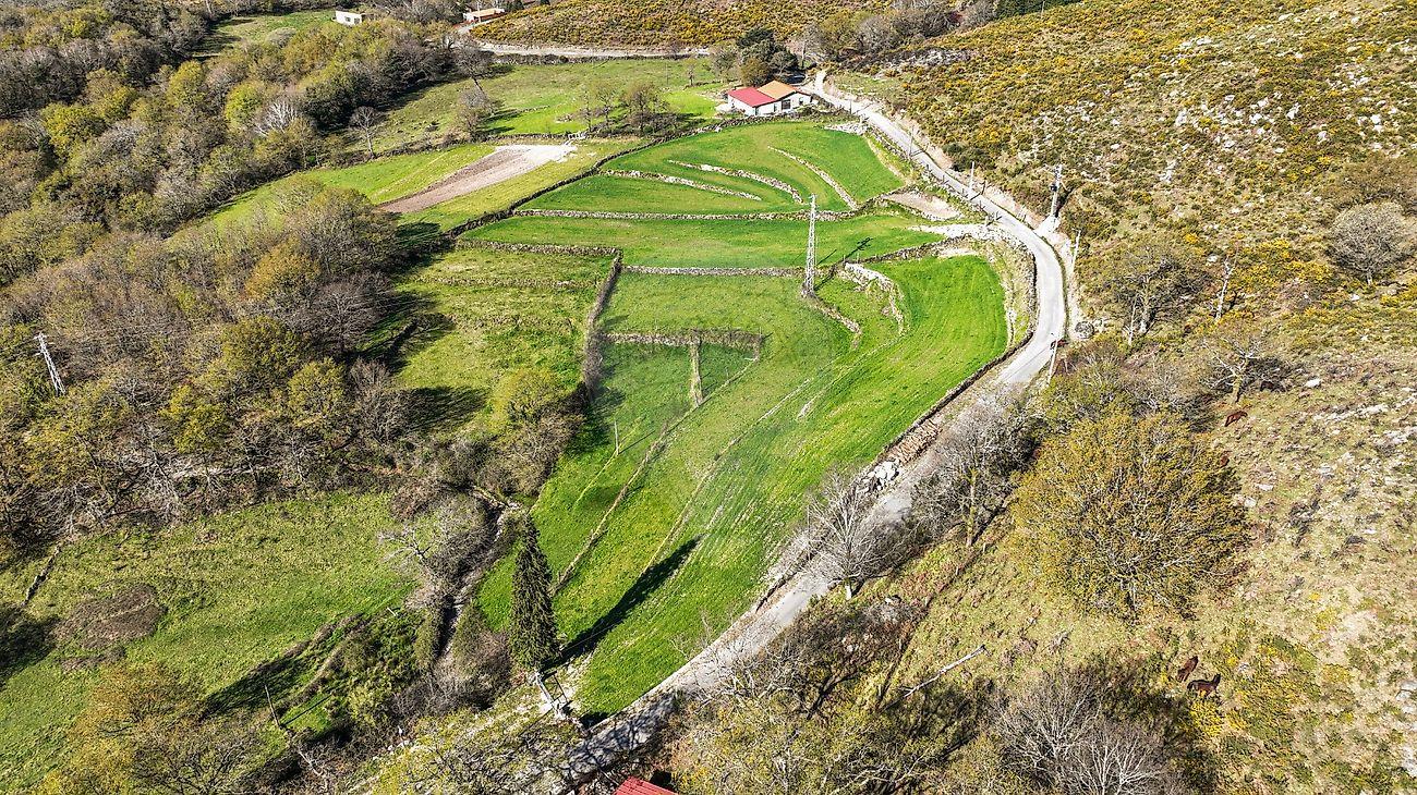 Terreno  para venda