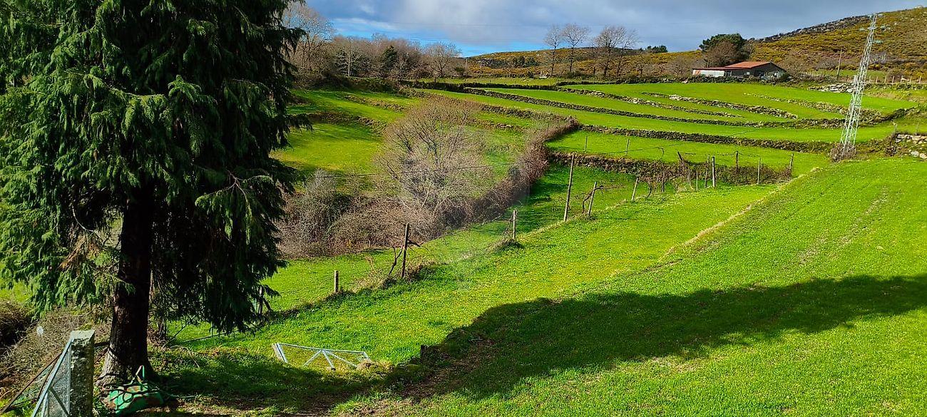 Terreno  para venda
