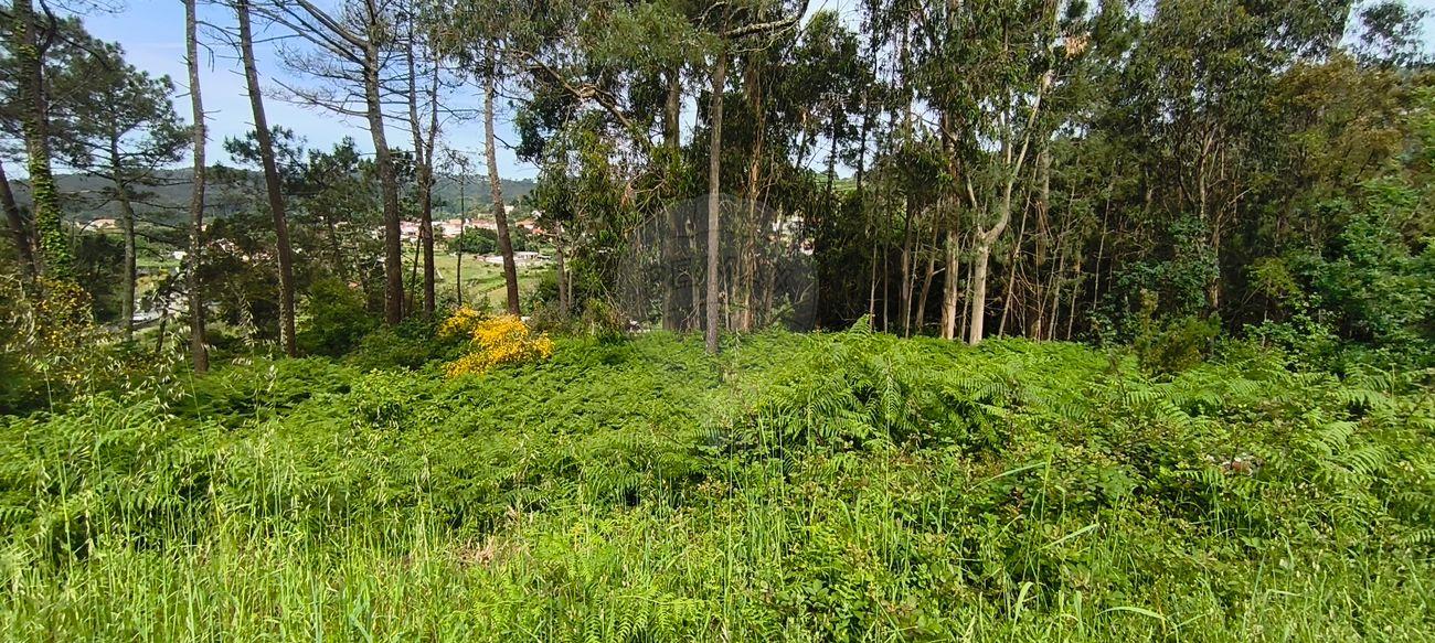 Terreno  para venda
