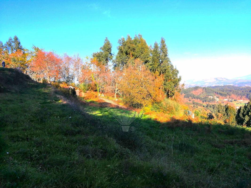 Terreno  para venda