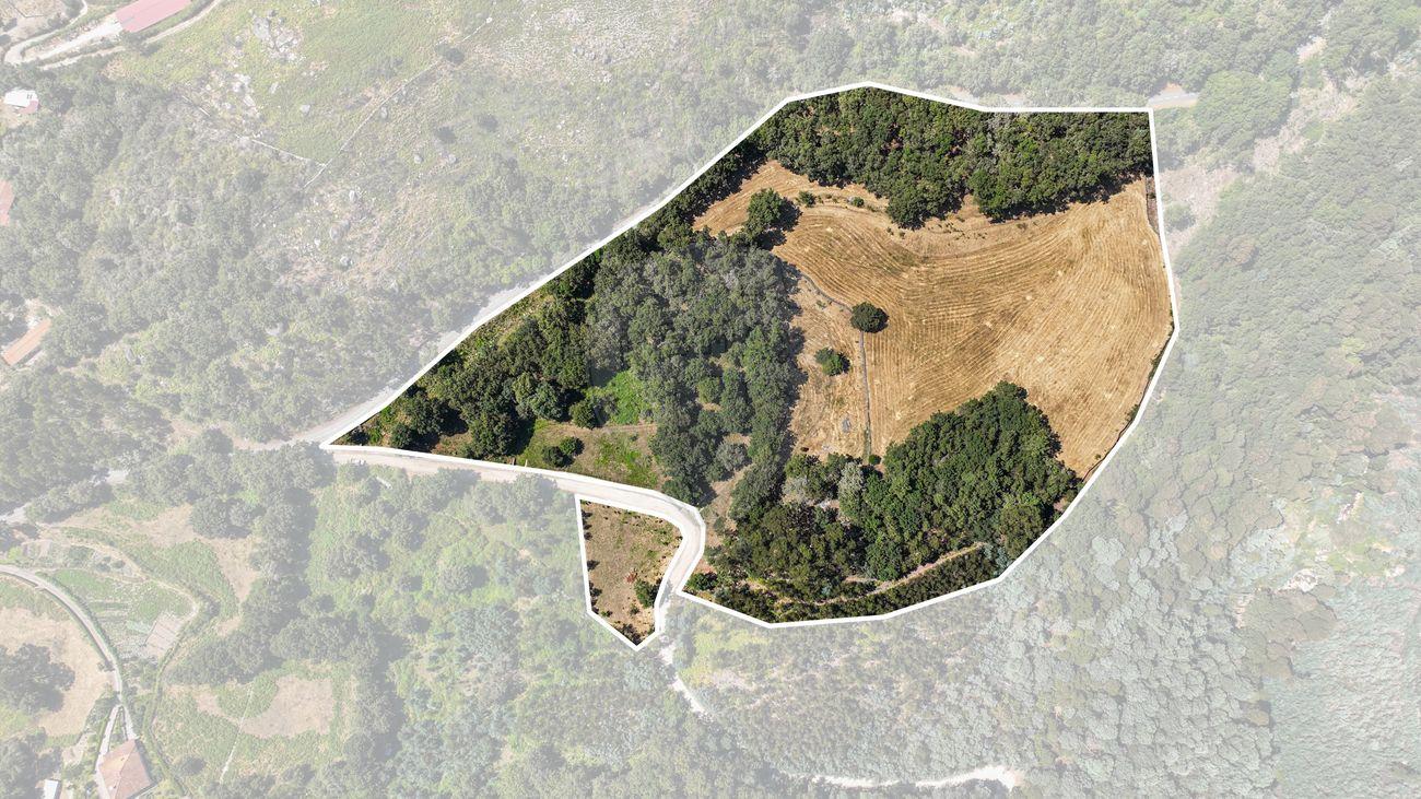 Terreno  para venda