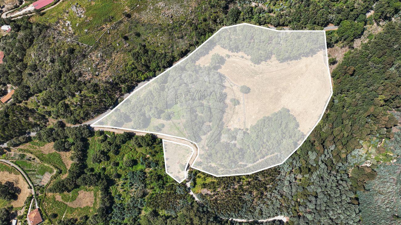 Terreno  para venda