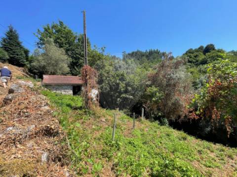 Moradia T1 para venda