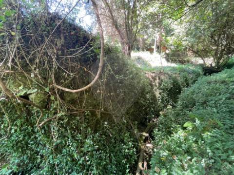 Moradia T1 para venda