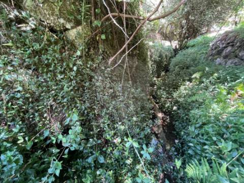 Moradia T1 para venda