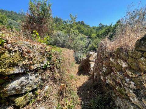 Moradia T1 para venda