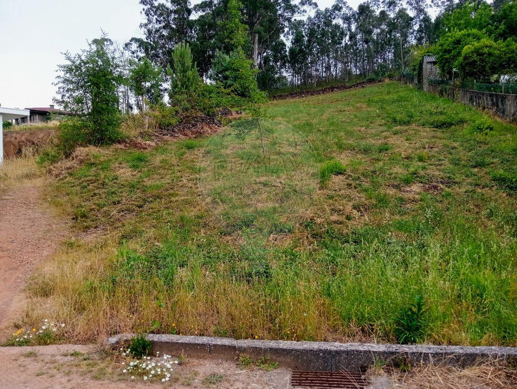 Terreno  para venda