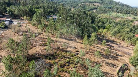 Moradia T0 para venda