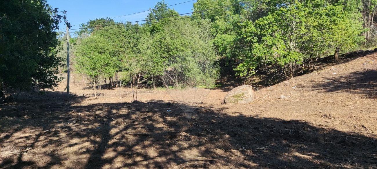Terreno  para venda