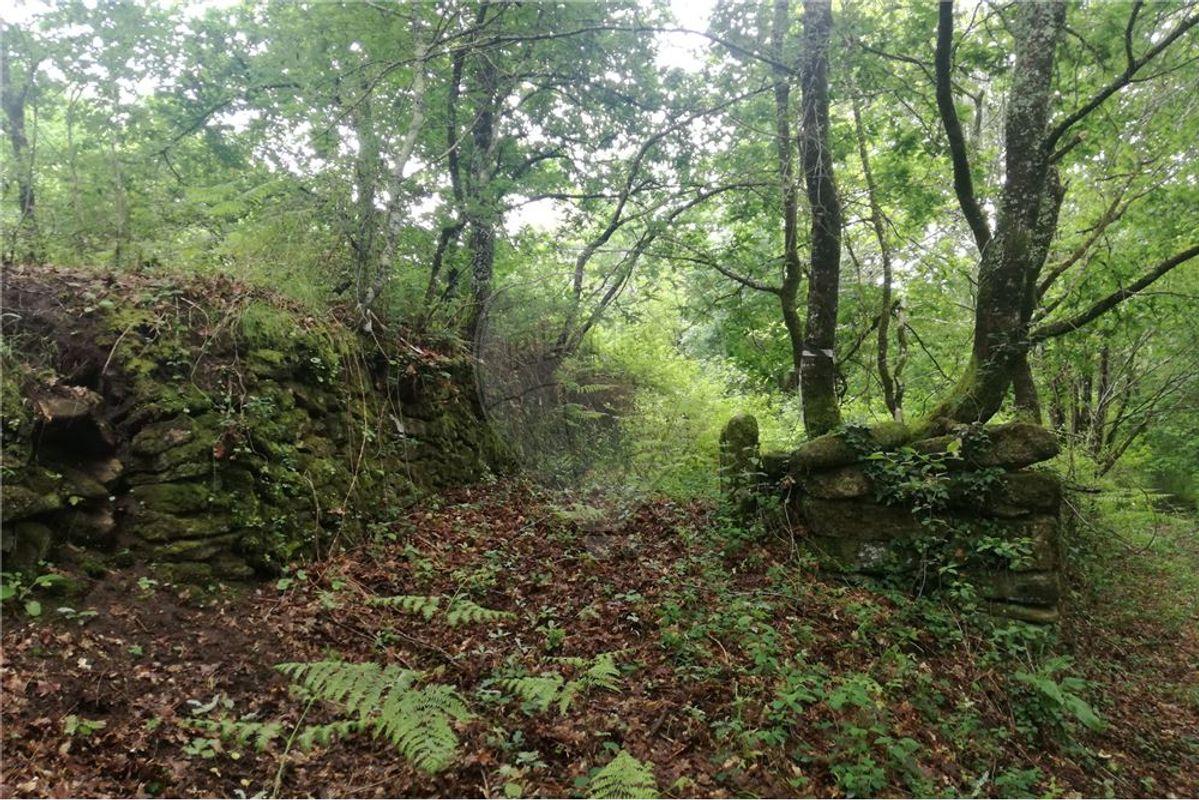 Terreno  para venda