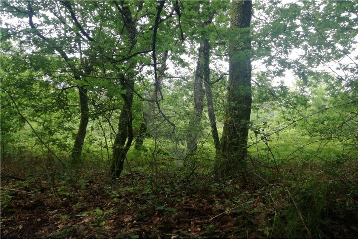 Terreno  para venda