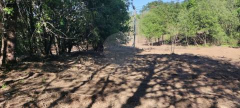 Terreno  para venda