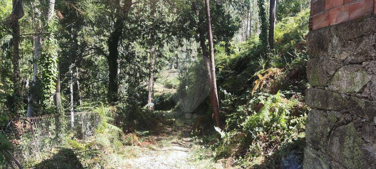 Terreno  para venda