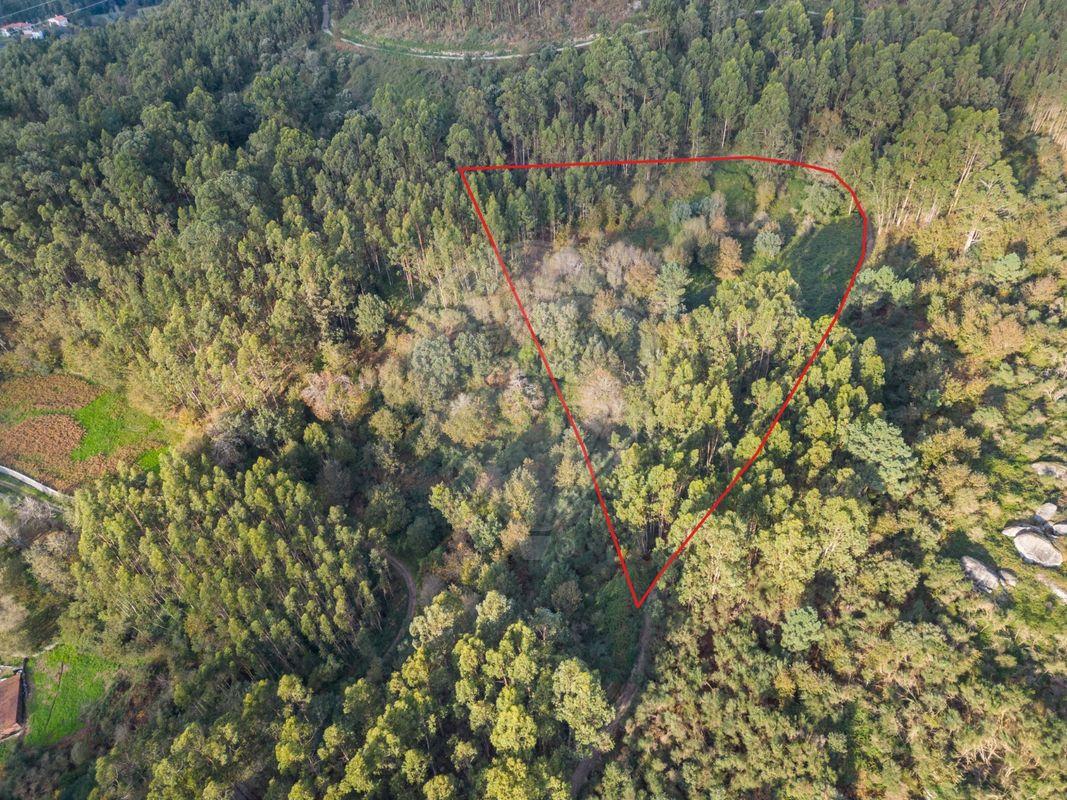 Terreno  para venda