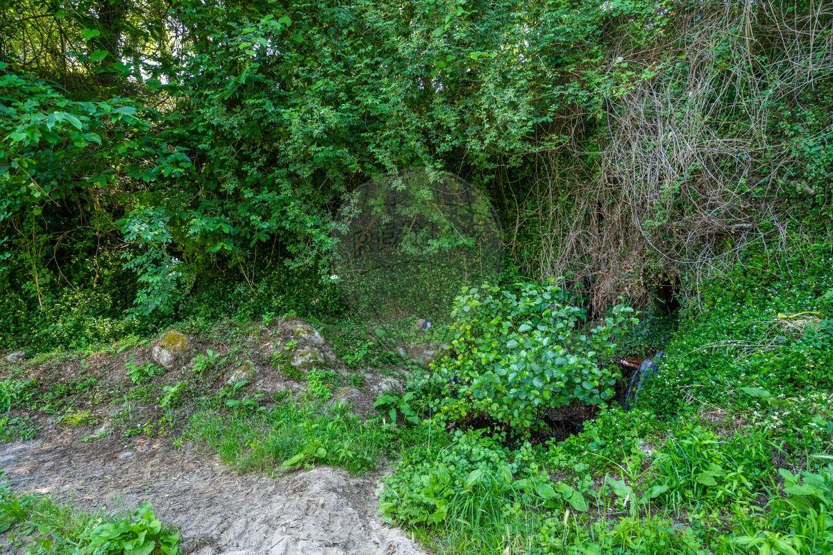 Terreno  para venda