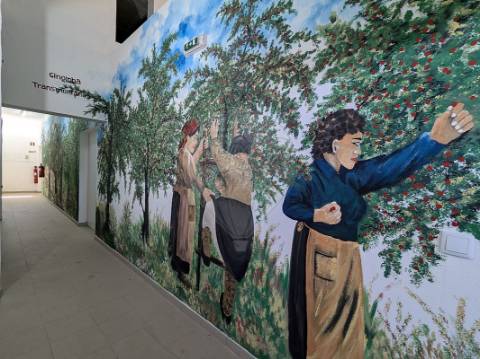 Industrial  para venda