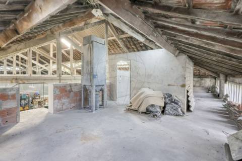 Trespasse T0 para venda