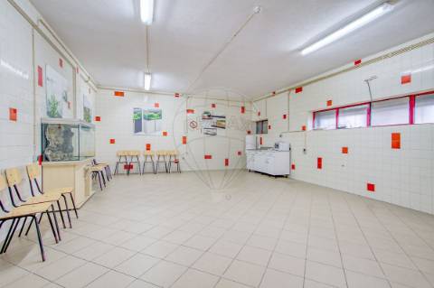 Industrial  para venda