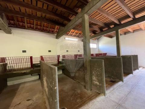 Outros - Comercial  para venda