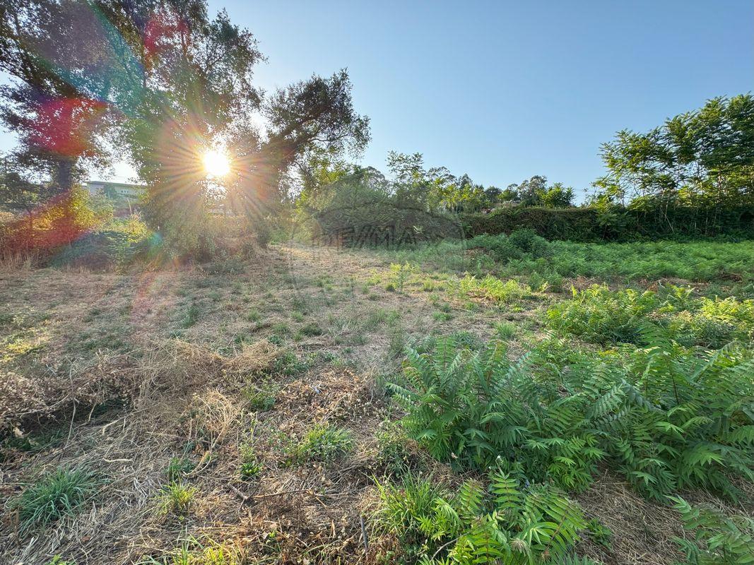 Terreno  para venda