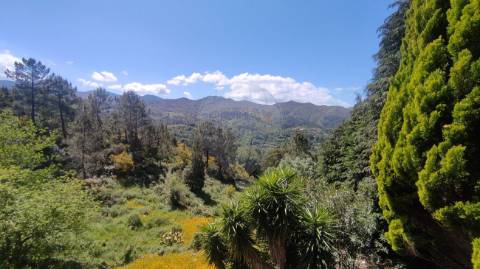 Moradia T4 para arrendamento