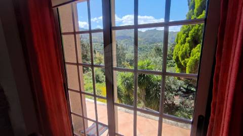 Moradia T4 para arrendamento