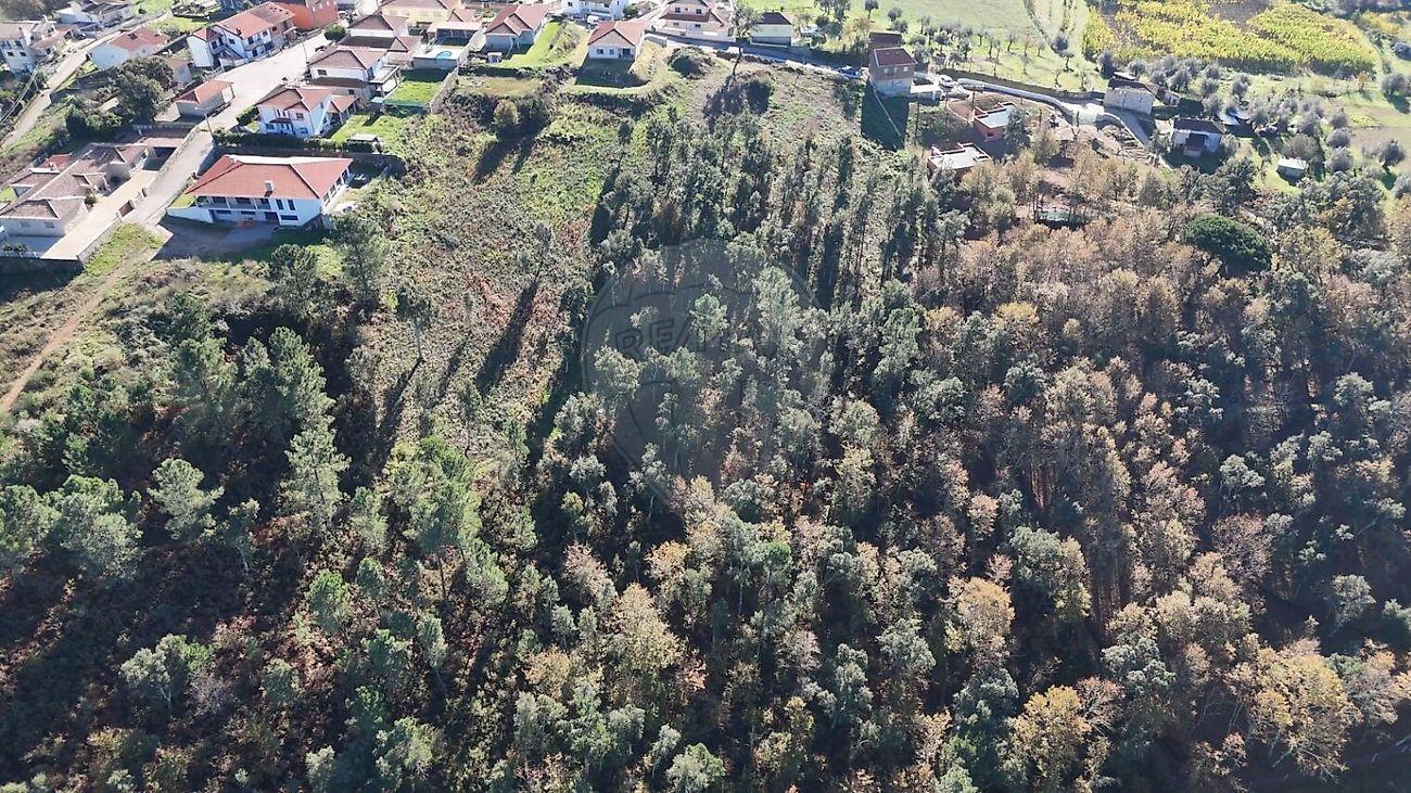 Terreno  para venda